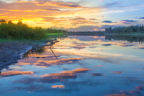 光影定格，見證榮耀——伊比沙杯廊坊首屆攝影大展獲獎公示暨專業攝像服務回顧